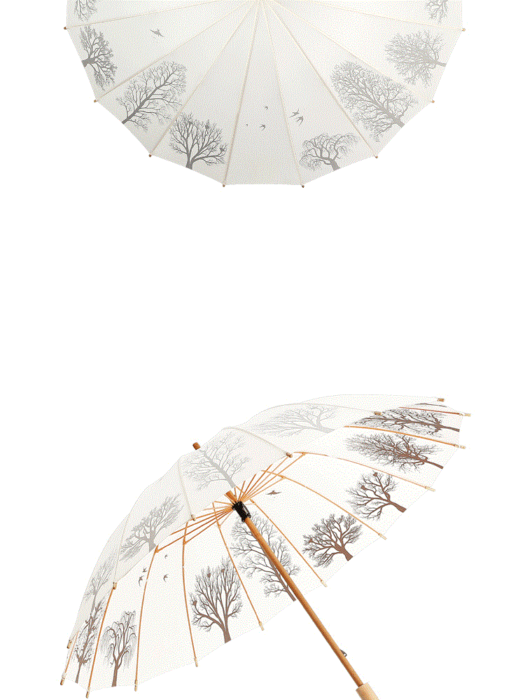 竹子雨伞