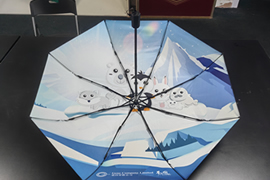 数码印雨伞 数码印雨伞